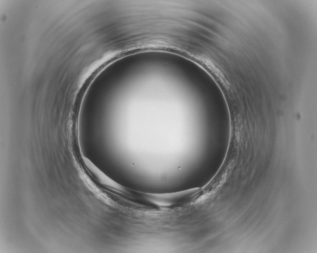 X0000086951134200704161447