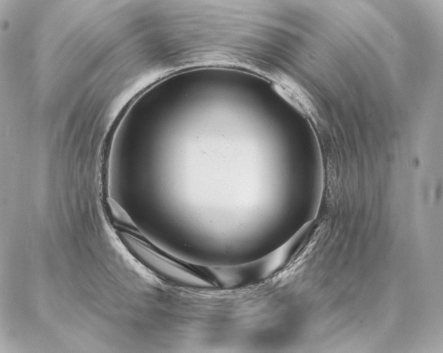 X0000086951142200704161447