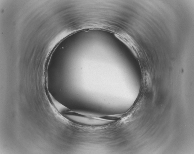 X0000086951143200704161447