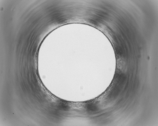X0000086951150200704161447