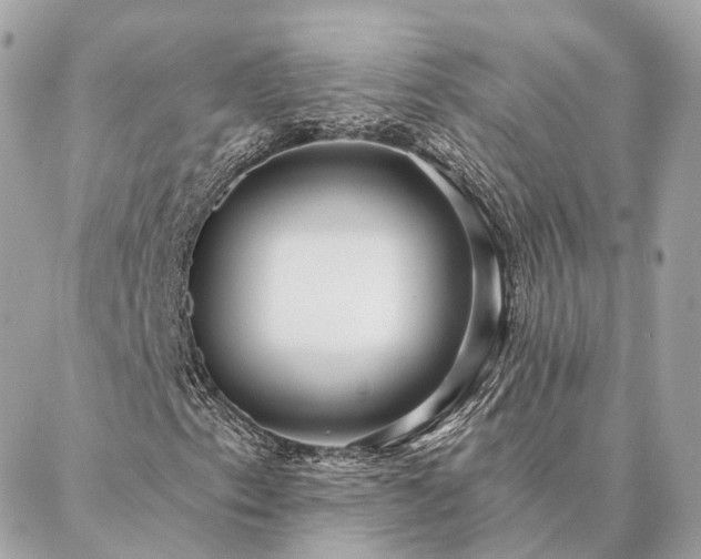 X0000086951153200704161447