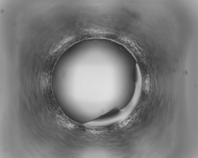 X0000086951157200704161446