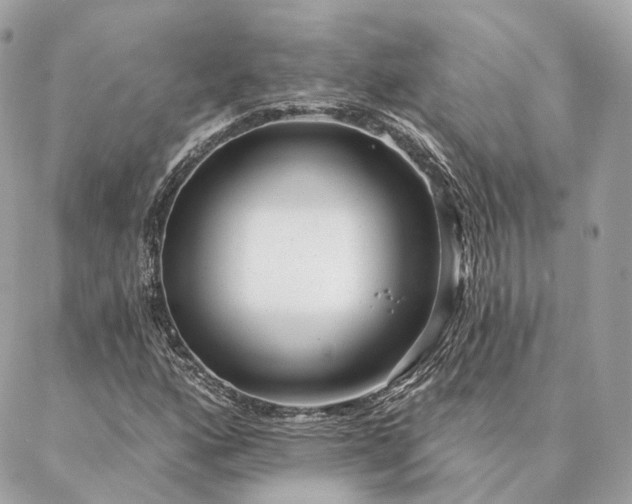 X0000086951160200704161446