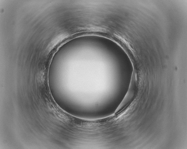 X0000086951163200704161446