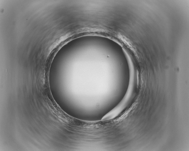 X0000086951165200704161446