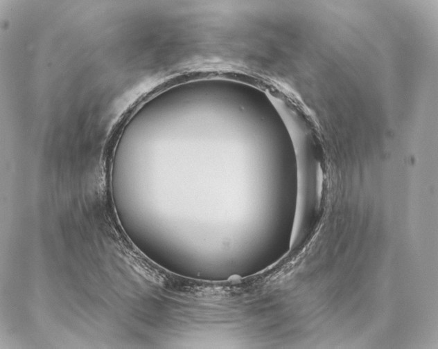 X0000086951167200704161446