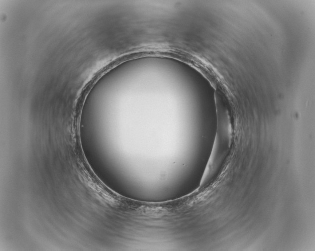 X0000086951168200704161446