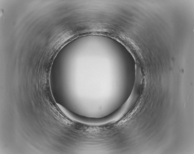X0000086951169200704161446