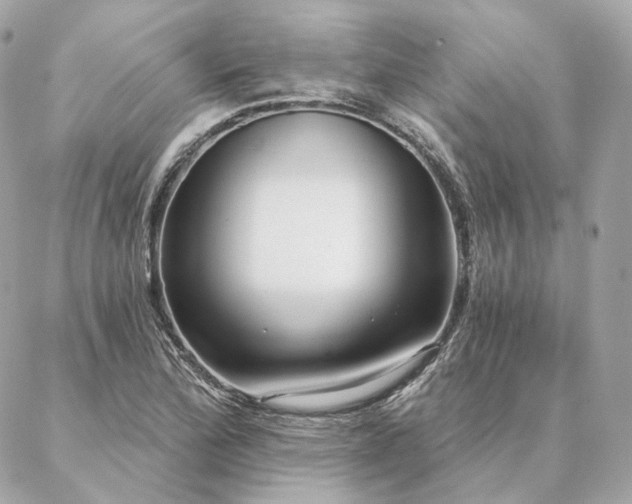 X0000086951172200704161446