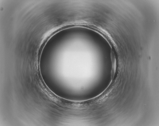 X0000086951176200704161446