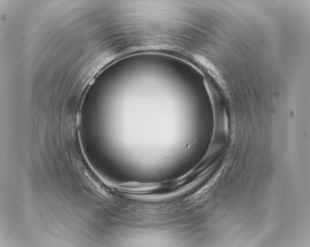 X0000086951177200704161446