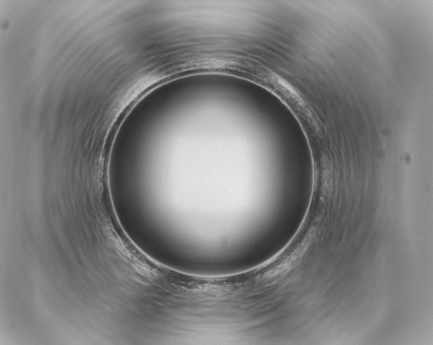 X0000086951178200704161446