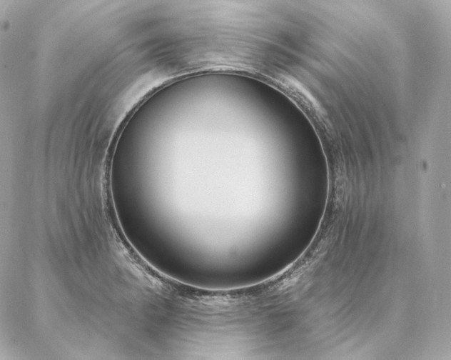 X0000086951182200704161446