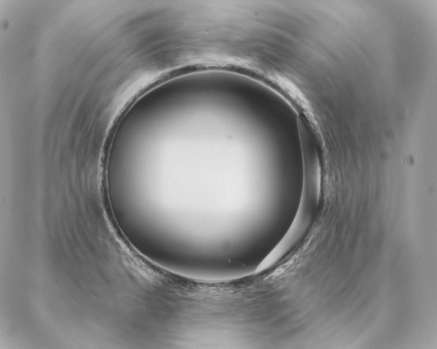 X0000086951183200704161446