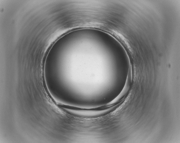 X0000086951184200704161446