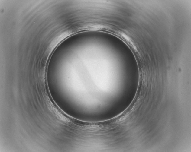 X0000086951186200704161446