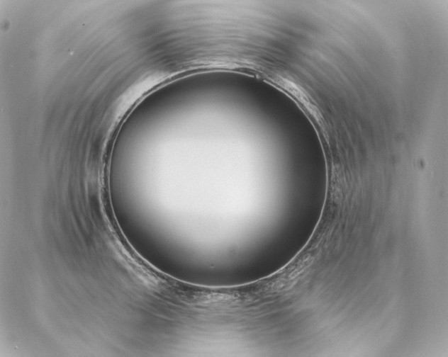 X0000086951187200704161446