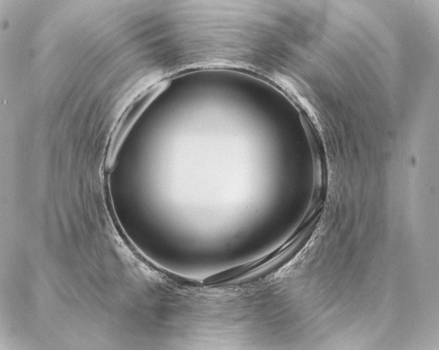 X0000086951189200704161446