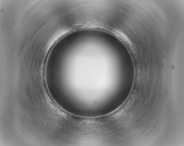 X0000086951190200704161446