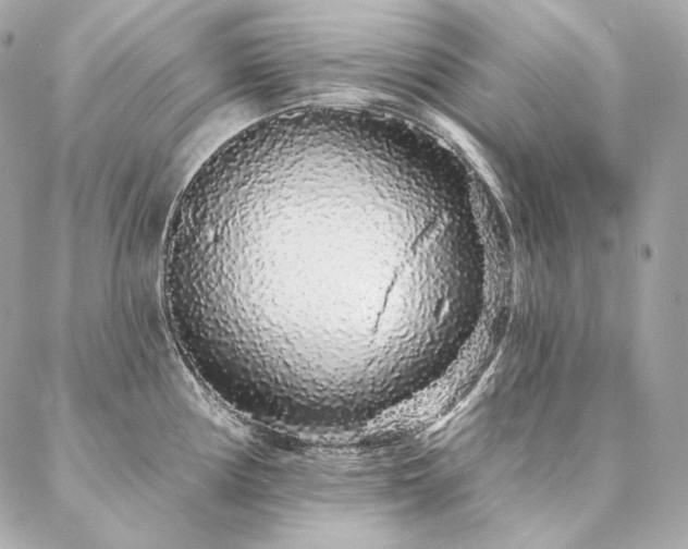 X0000086951194200704161446