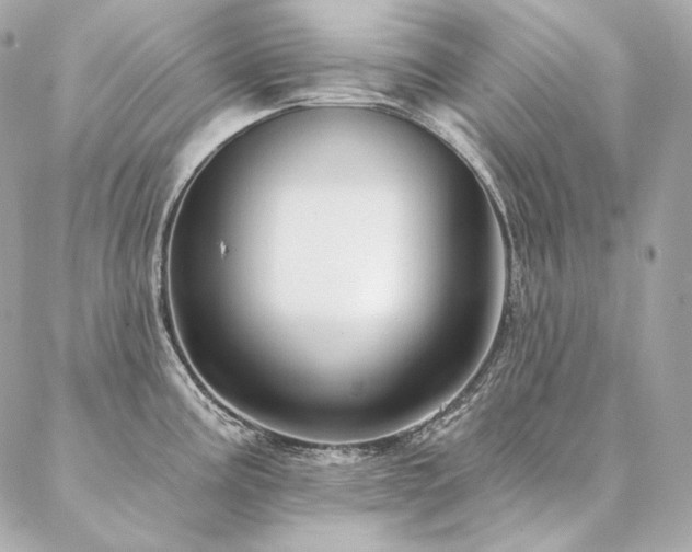 X0000086951195200704161446