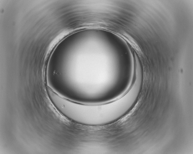 X0000086951196200704161446