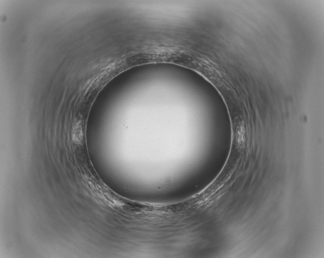 X0000086951204200704161445