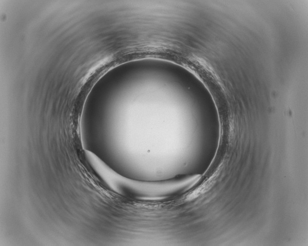 X0000086951210200704161445