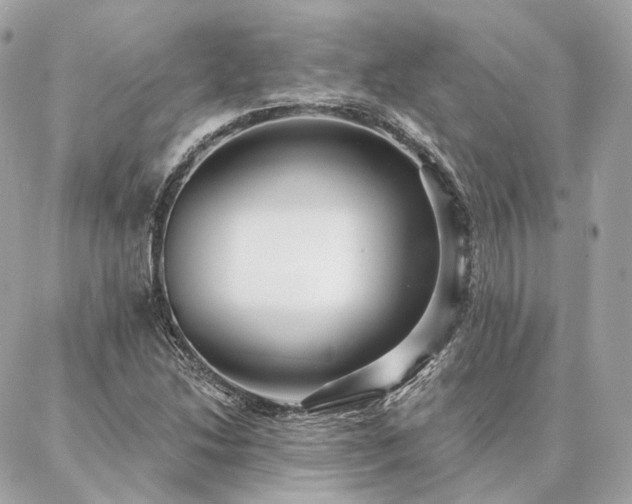 X0000086951214200704161445