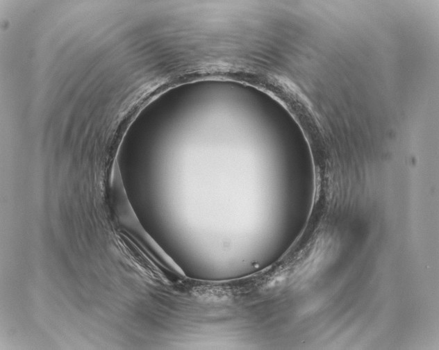 X0000086951217200704161445
