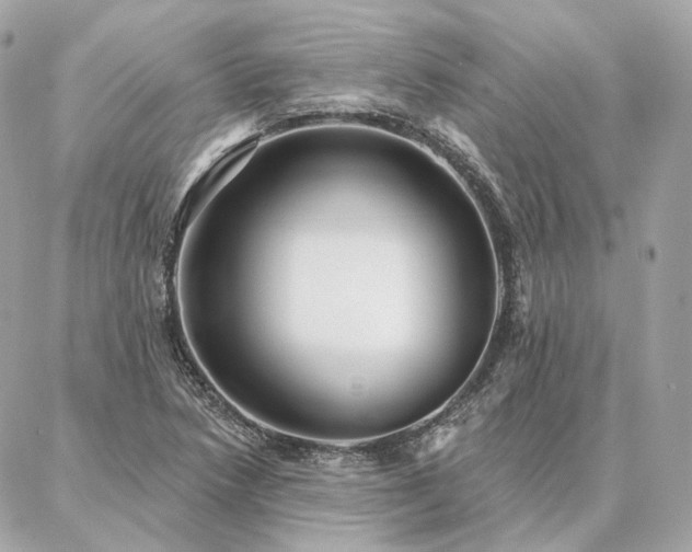 X0000086951218200704161445