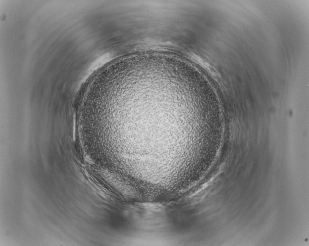X0000086951219200704161445