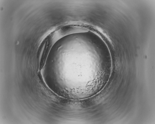 X0000086951221200704161445