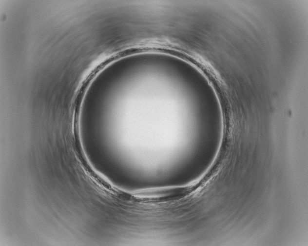 X0000086951224200704161445