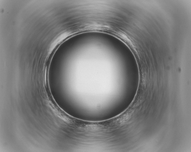 X0000086951227200704161445