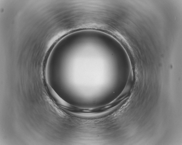 X0000086951230200704161445