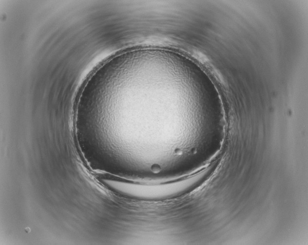 X0000086951232200704161445