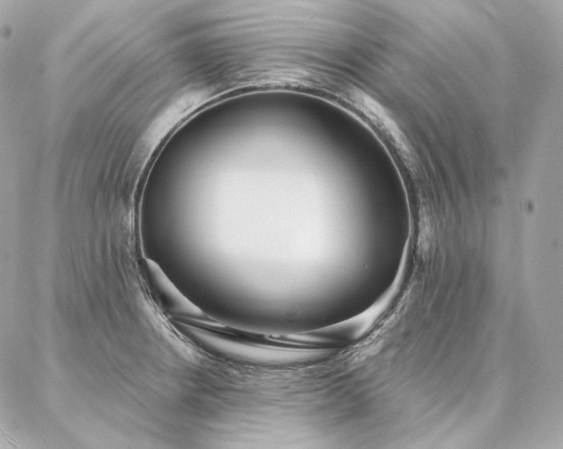 X0000086951234200704161446