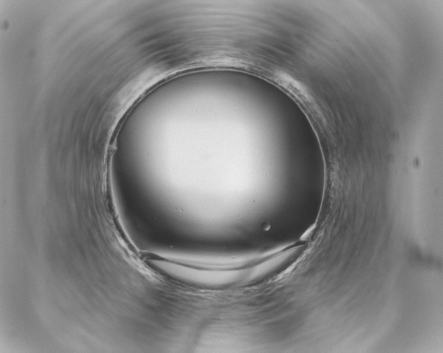 X0000086951236200704161446
