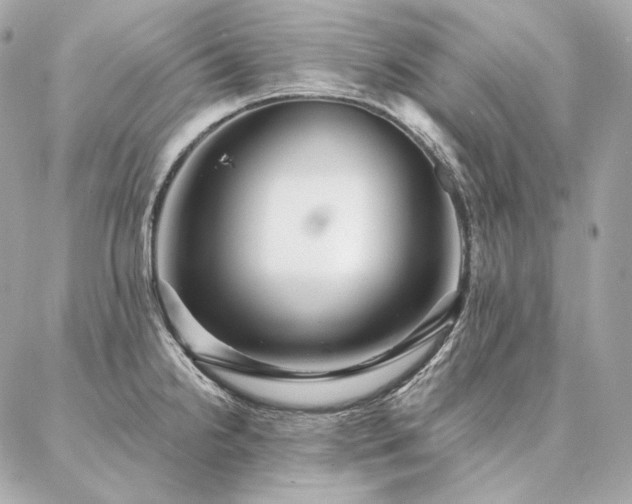 X0000086951238200704161446