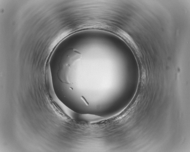 X0000086951242200704161446