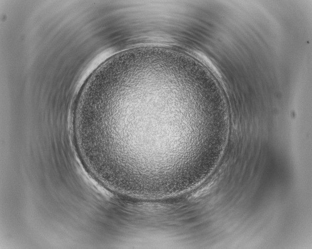 X0000086951243200704161446
