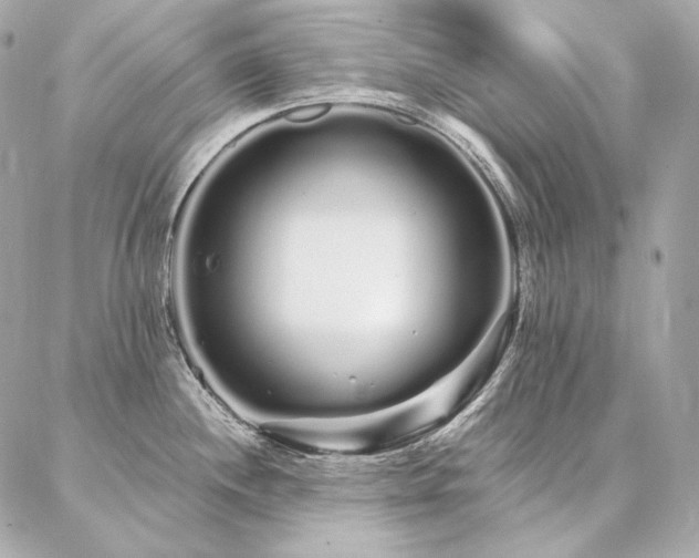 X0000086951244200704161446