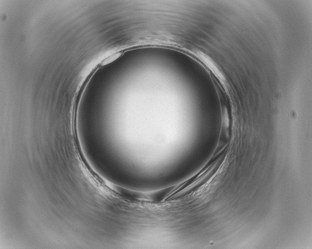 X0000086951246200704161446