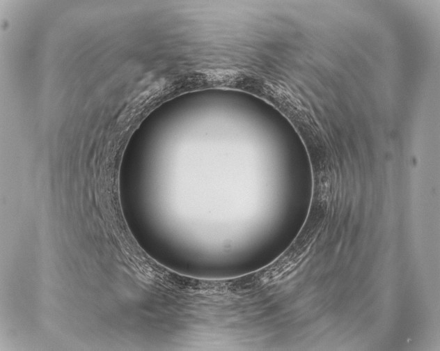 X0000086951249200704161445