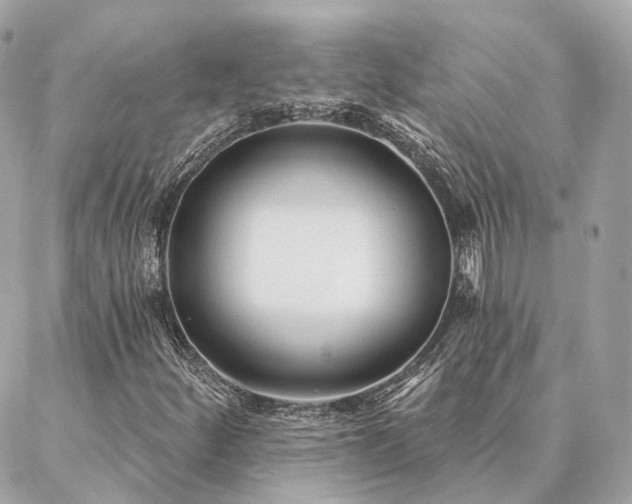 X0000086951252200704161445