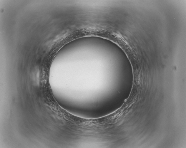 X0000086951253200704161445