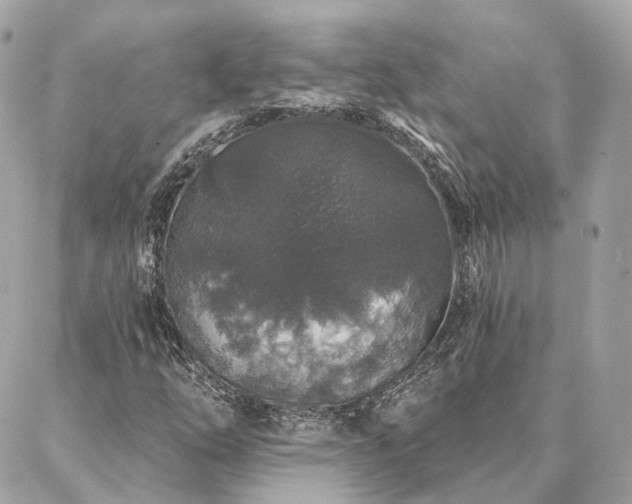 X0000086951254200704161445
