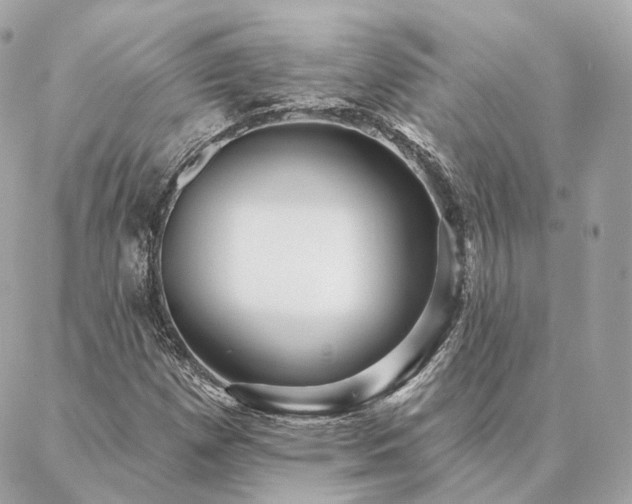 X0000086951257200704161445