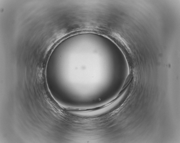X0000086951260200704161445
